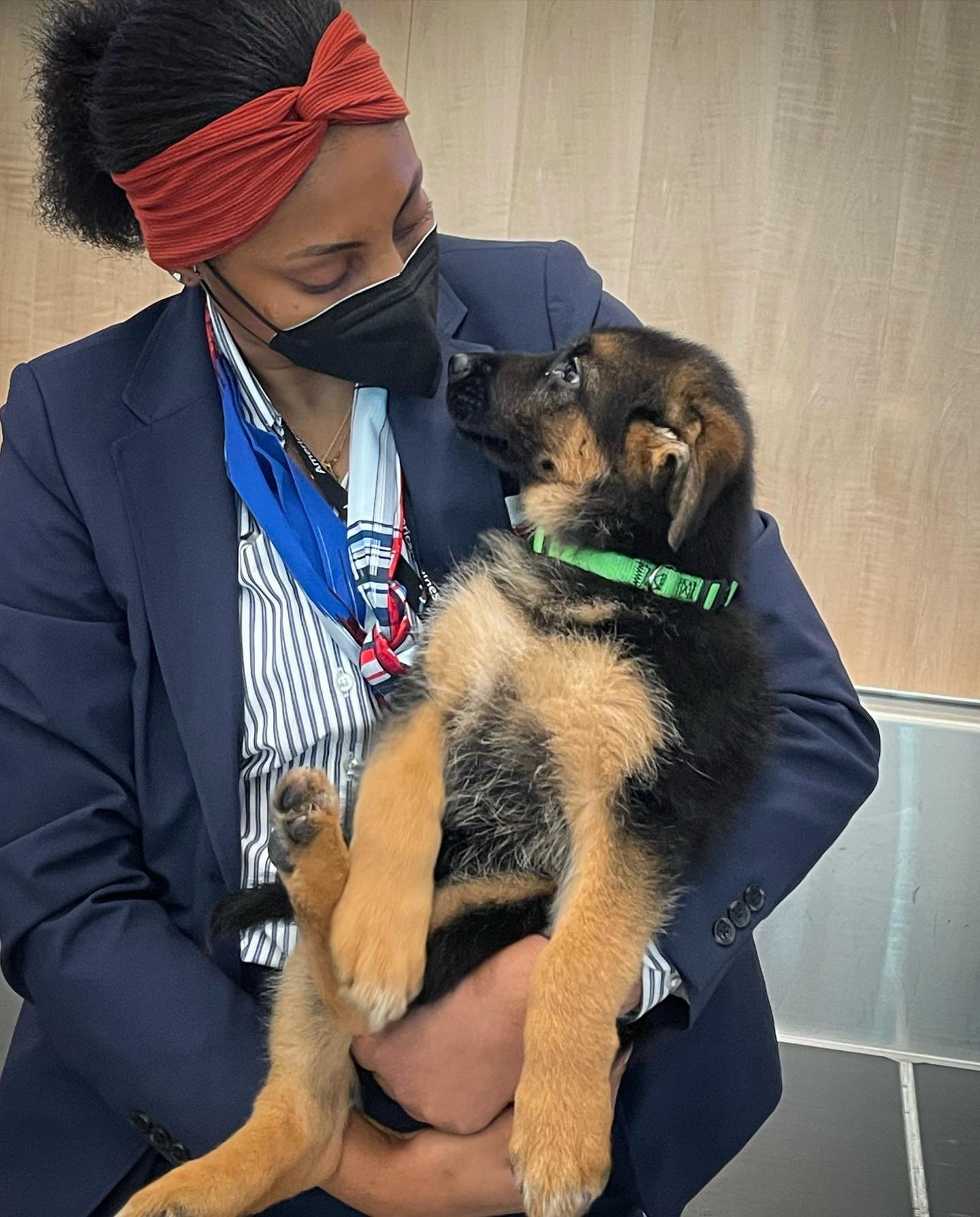 Happy family with their new German Shepherd puppy
