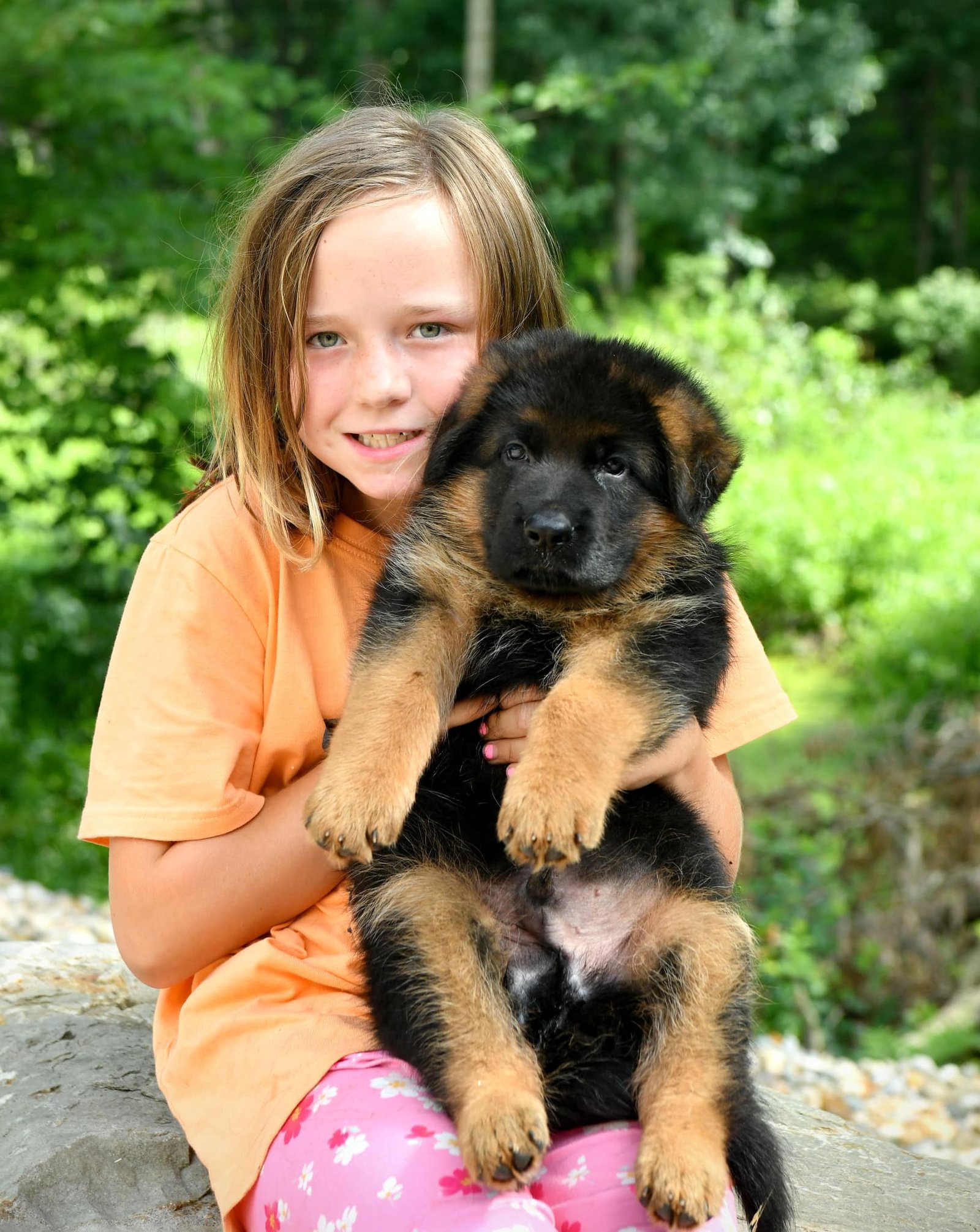 Happy family with their new German Shepherd puppy