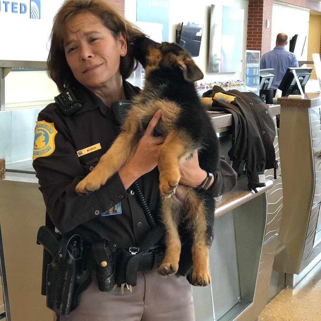 Happy family with their new German Shepherd puppy